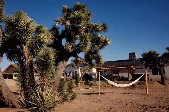 Joshua tree Home